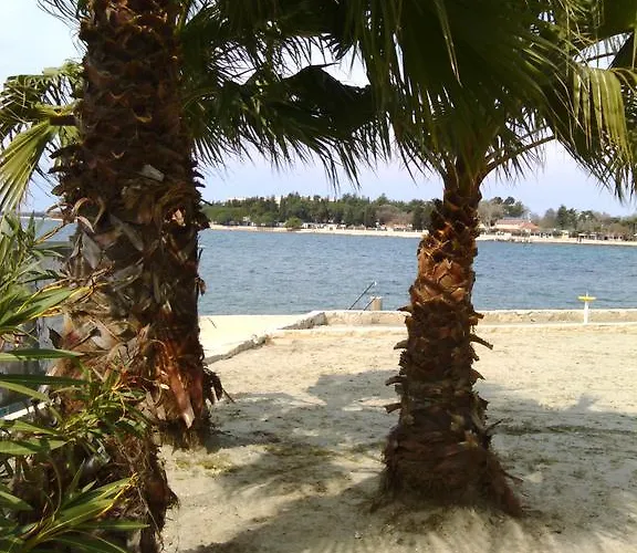 Apartment House Monika