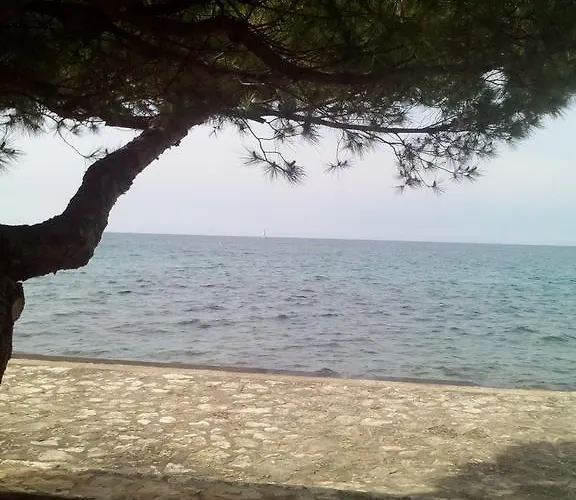 House Monika Apartment Porec