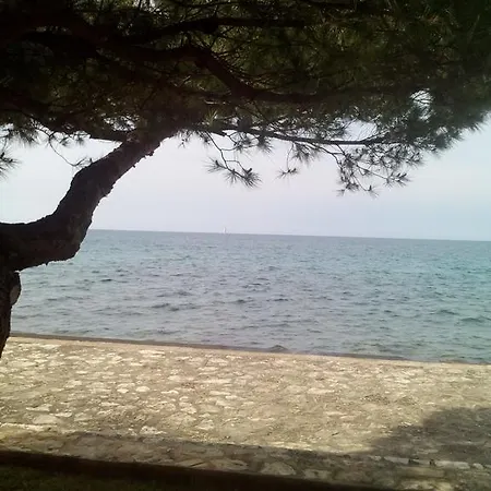 House Monika Appartamento Porec