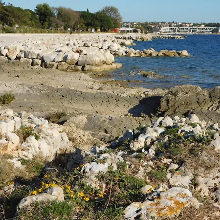 House Monika Apartment Poreč