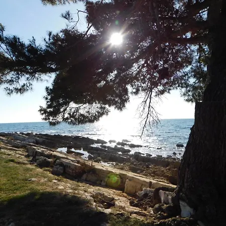 Апартаменты House Monika *