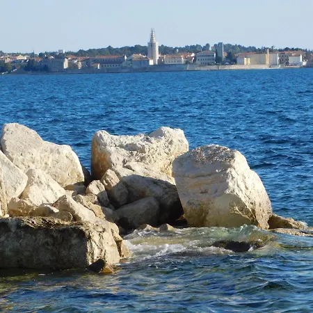 Апартаменты House Monika *