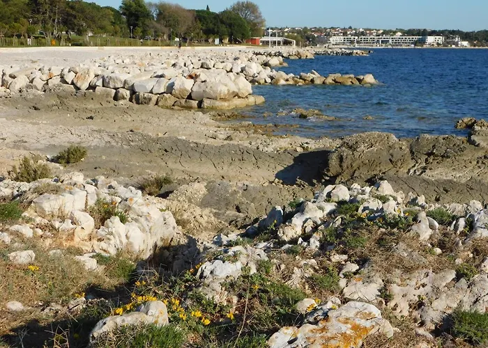 House Monika Апартаменты Пореч