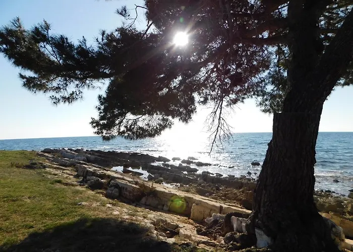 Apartment House Monika *