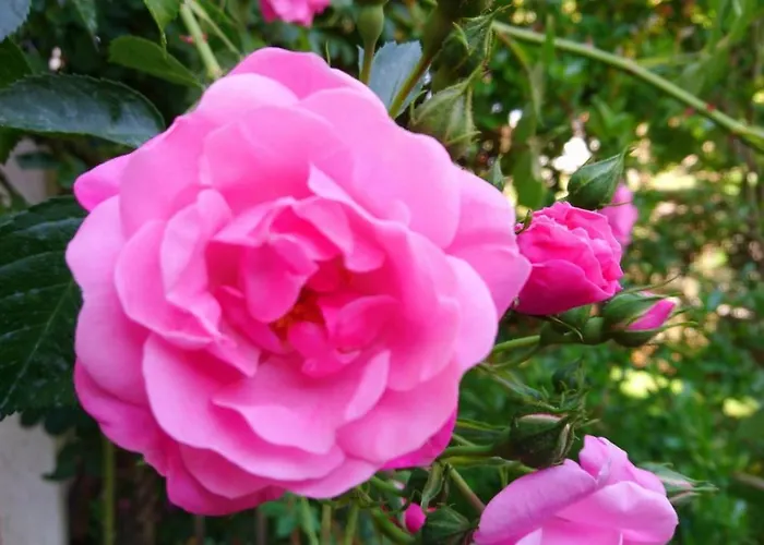 アパート House Monika ポレッチ